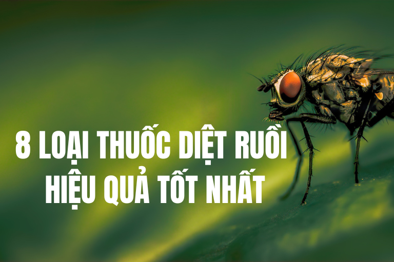 8 LOẠI THUỐC DIỆT RUỒI HIỆU QUẢ TỐT NHẤT